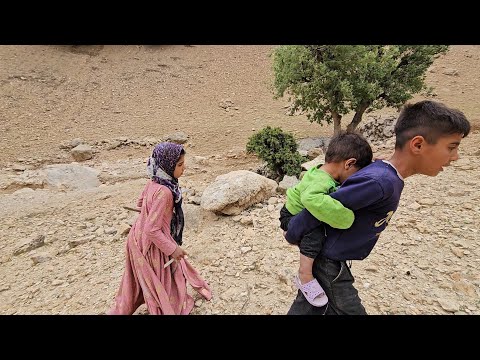 Survival of children: collecting firewood in the mountains by homeless children