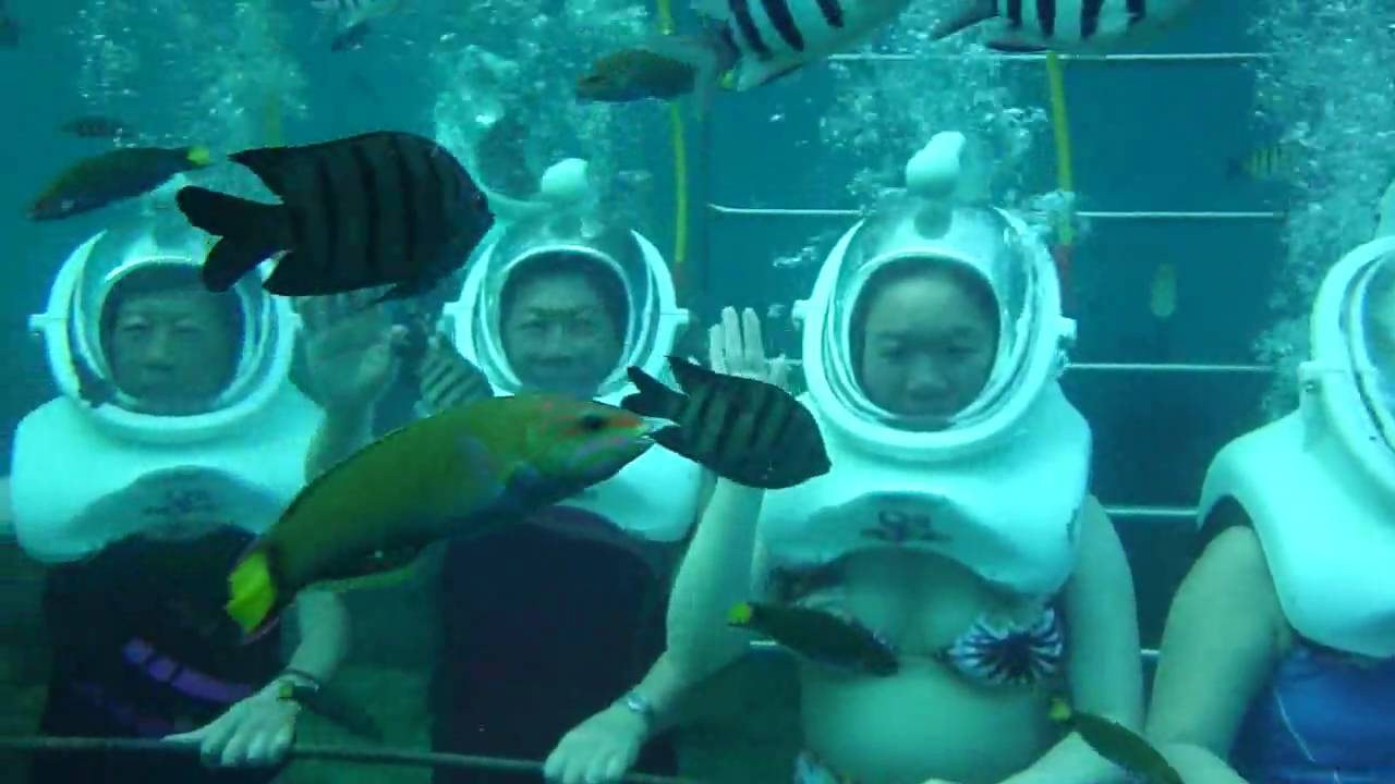 SAPI Island, SEA WALK, Kota Kinabalu YouTube