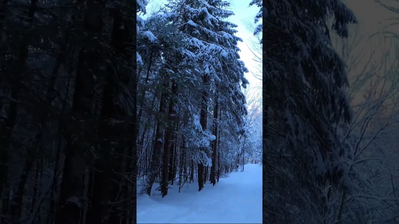 Peaceful Winter Walk in Oslo | Østmarka Forest After Heavy Snowfall ❄️☀️ -21 ℃