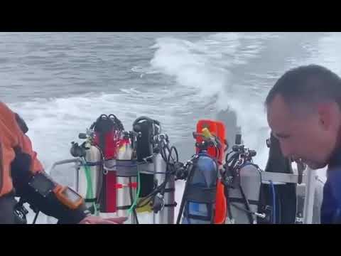 Alison smith video
