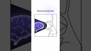 Observe the Observer