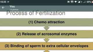Jayoti vidyapeeth women's university jaipur session process if fertilization