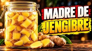 1 Trozo de Jengibre. 5 Días. La Madre que Convierte Cualquier Fruta en Refresco
