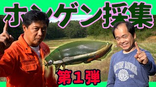 【沼をガサガサ！第１弾】ホンゲンゴロウ採集！