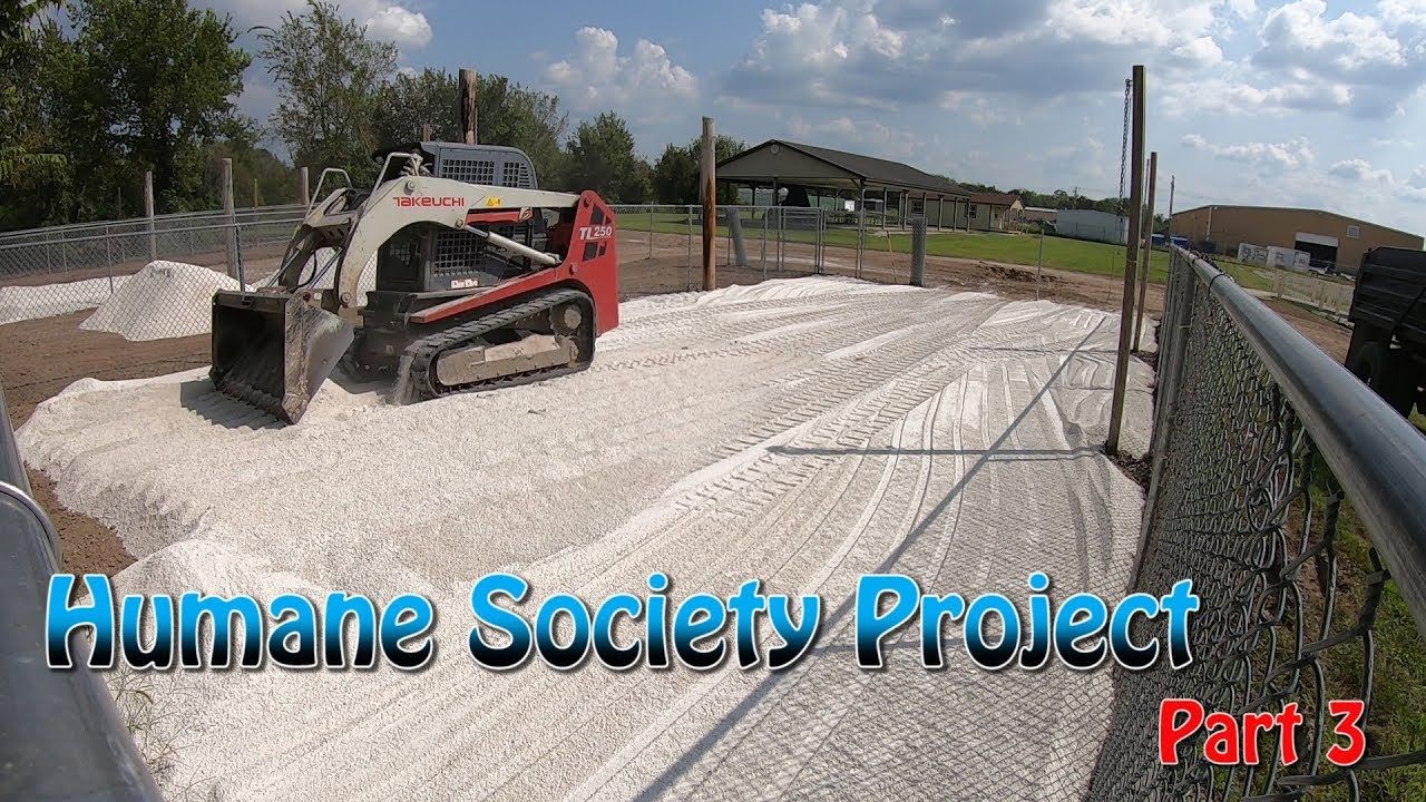Humane Society Project Part 3 - YouTube