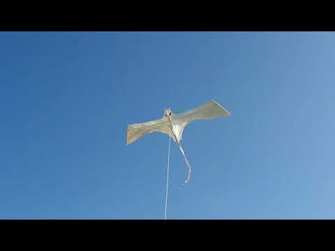 Bat Kite -