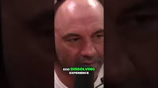 DMT, Ayahuasca, and Reality Simulation: Joe Rogan &amp; Dorian Yates #shorts