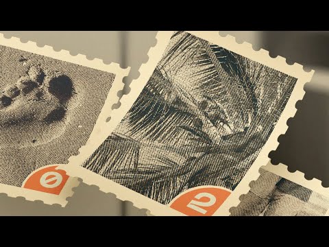 021kid Ye Name Official Audio 