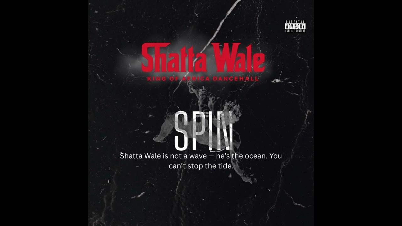 Shatta Wale - Spin (Audio Slide)