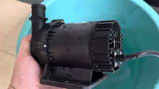 SHYSKY 24VDC 120W Speed Adjustable Power Micro Brushless Water Pump DC60D-24120A-1 12m Lift 3800LPH