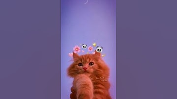 TREND 💯💫|| NEW XML FILE 😵|| || XML FILE ALIGHT MOTION  💖|| LINK IN DESCRIPTION#short #viral #ytshort