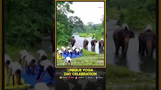 Jaldapara Marks Yoga Day With Elephants And Mahouts | WION Shorts