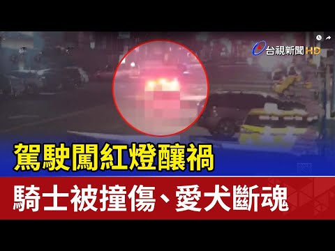 駕駛闖紅燈釀禍 騎士被撞傷、愛犬斷魂