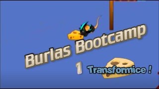 Burlas Bootcamp #1