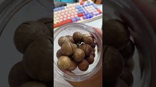 Macadamia Nuts In Shell Besar