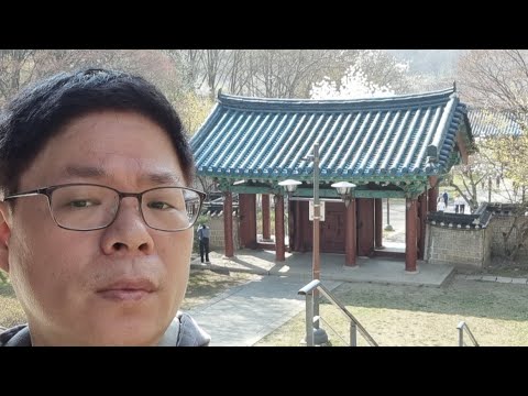 유신쇼 라이브 낙성대공원, 고려 강감찬 장군, 벚꽃, 개나리, 진달래, <strong>목련</strong> [2023031]