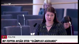 Elin Söderberg Avgår Efter Agerande På Miljöpartiets Fest.