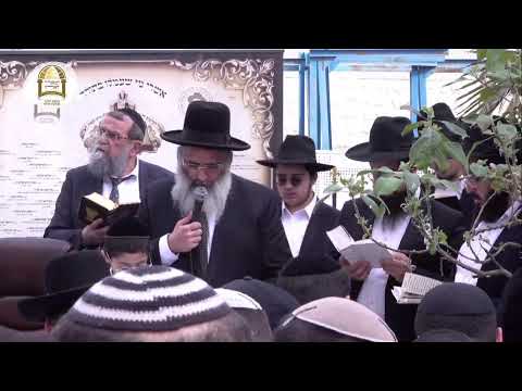שידור חי | ברכת האילנות עם מו"ר הרב ישראל אברג'ל שליט"א