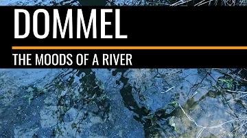 Netherlands - Dommel, the moods of a river - a cinematic impression