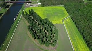 De Groene Kathadraal Almere Dji Air 2S