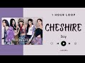 [NO ADS - 1 HOUR] ITZY - CHESHIRE