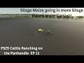 FS25 Ranching Series Building a Beef Cattle Ranch on The Panhandle EP 11 Planting Silage Maize