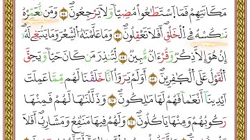 ربع يس من مصحف أحكام التجويد لمنشورات كليك بصوت القارئ ياسين الجزائري الصفحة: 008