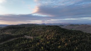 Electric Mountain Biking  Grizedale, Lake District  April 2024