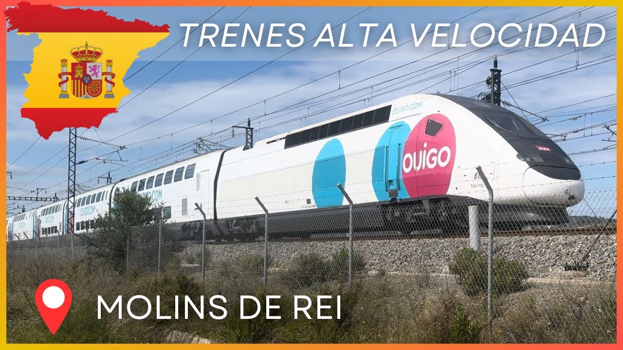Trenes Alta Velocidad Española 230kph | 🇪🇸 Molins de Rei (OUIGO, AVE, IRYO, ALVIA) 01/05/24