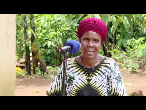 ECO TALK: How Mpigi farmers are embracing smart agriculture practices