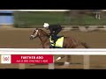 Further Ado Works Half-Mile in Preparation for the Kentucky Derby