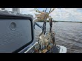 Perfect day catching blue crabs my favorite spot north florida crabbing