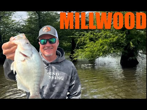 3 Pound Fishing Savage 13 – PTG Outdoors