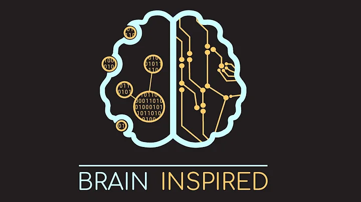 BI 057 Nicole Rust: Visual Memory and Novelty
