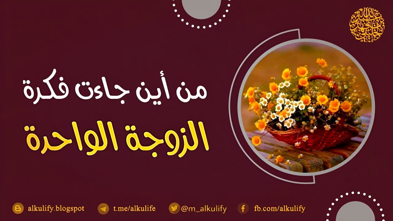 من أين جاءت فكرة الزوجة الواحدة ؟!