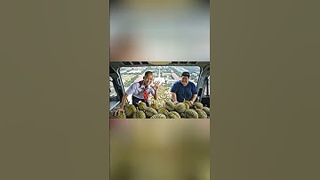 Hùng Trọc và Tí béo thả 1 tỷ quả sầu riêng xuống trường học để troll Capybara #capybara #shorts