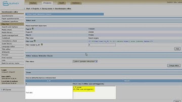 EFS Survey Tutorial from Unipark - Step 4 - Testing the Project
