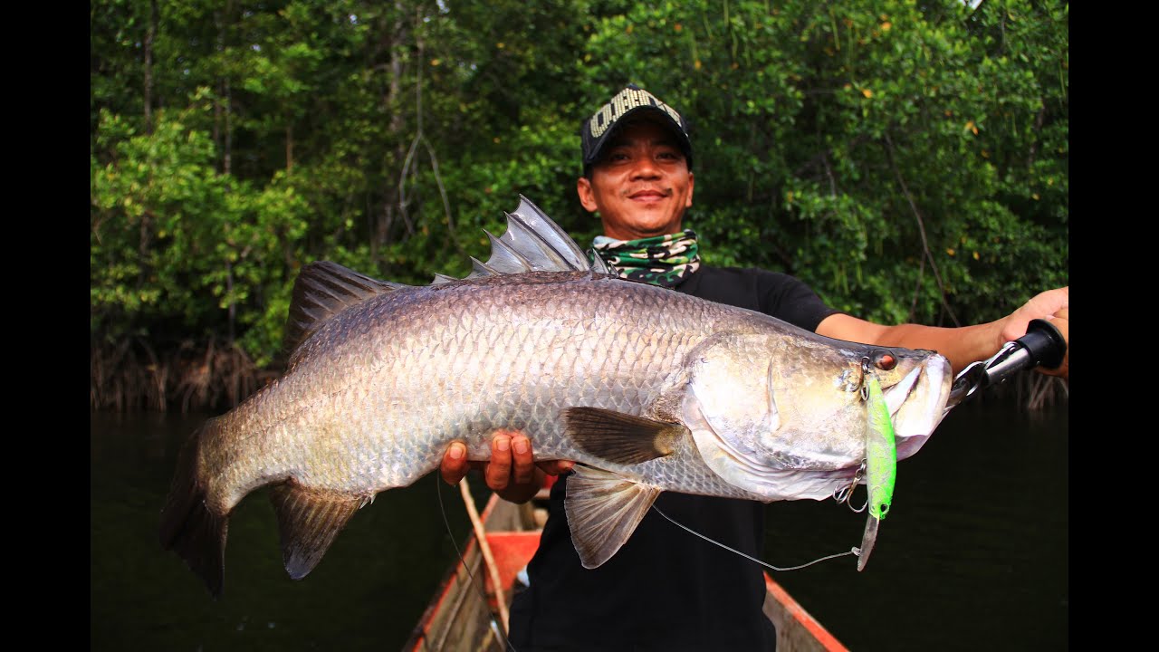 Going Beast Mode Vol.2: Barramundi Mayhem with Gong Lei