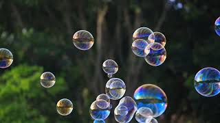 soap bubbles floating in the air with natural green blurred