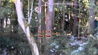 【サバゲ】CIMAX20110116