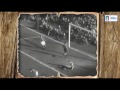 5 marzo 1950 - L'esordio azzurro di Ermes Muccinelli - Almanacchi Azzurri