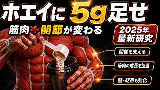 【2025年最新研究】ホエイプロテインに5ｇ足すだけで肉体が変わる‼　~プロテインの組み合わせ～