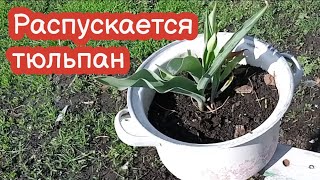 VLOG Они сведут меня с ума