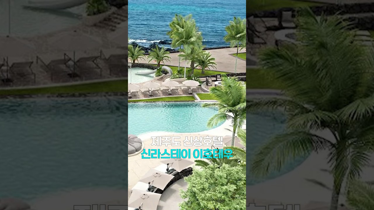 제주도 신상호텔, 신라스테이 플러스 이호테우 #shorts