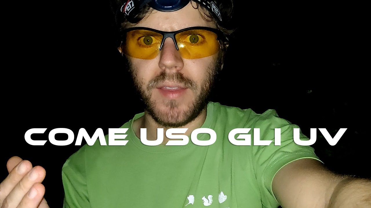 UV Ophrys holosericea e altre orchidee