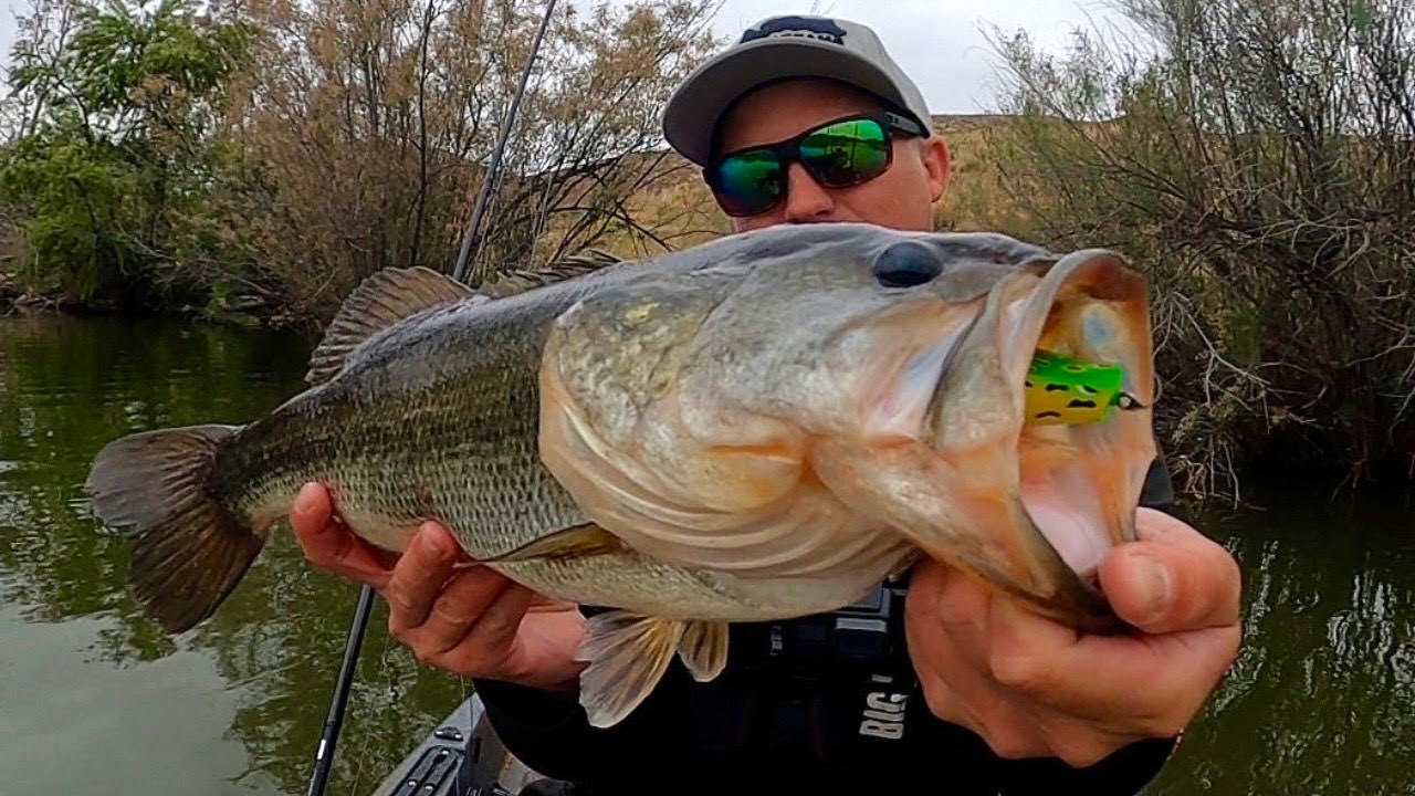 Summertime Topwater Largemouth Bass! (Southern California Kayak Fishing