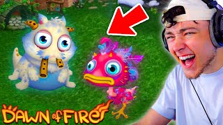 New Gjoob & Yawstrich In Dawn Of Fire Are Spectacular Anniversary Month 2024