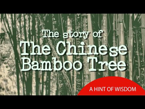 The Story Of