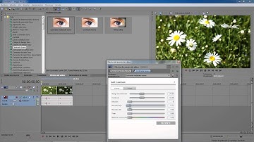 Tutoriales Vegas Pro 9.0 y 10.0 // Gradación de Color #17
