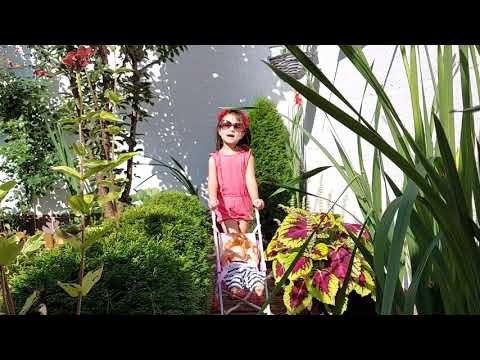 خاله بازی بچه ها 